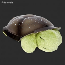 Tortue lampe veilleu