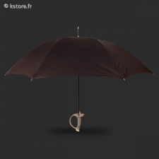 Parapluie avec manch