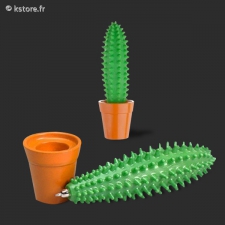 Stylo cactus en pot